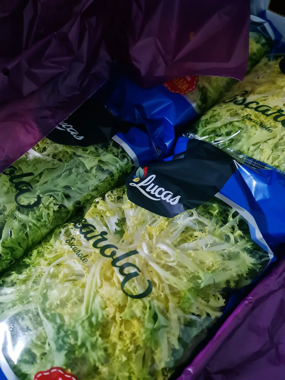 Lechugas iceberg envasadas en bolsas para distribución